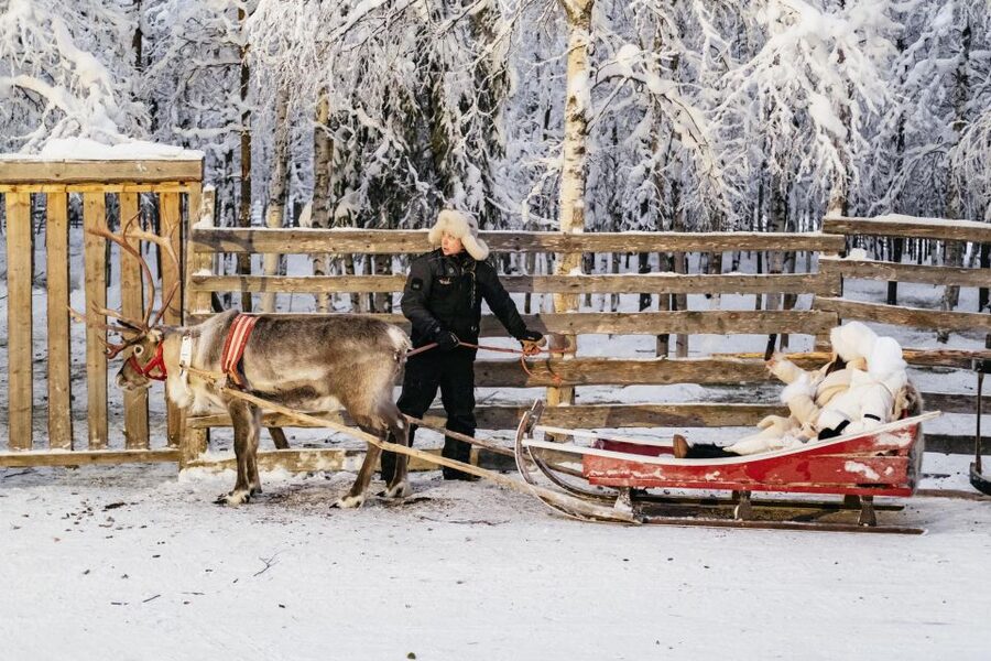 Rovaniemi: Snowmobile Safari, Reindeer & Husky Sleigh Ride - Photo stops, warm breaks, and the “half-day rhythm”