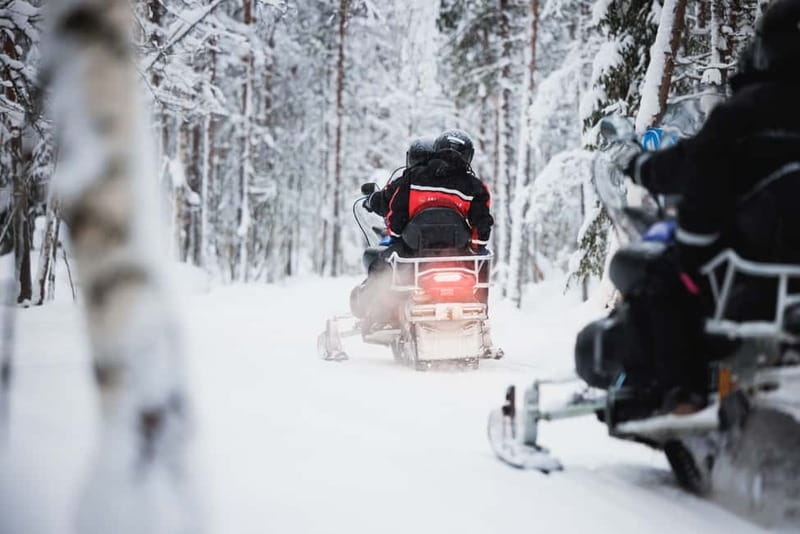 Rovaniemi: Snowmobile Tour and Reindeer Experience - Speed, Rules, and Who Gets to Drive: Read This Before You Buy