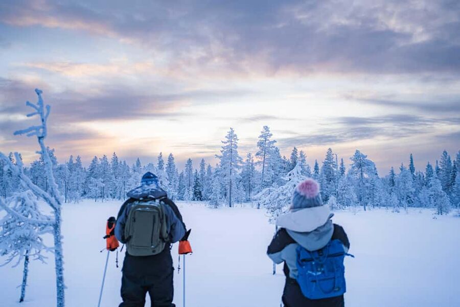 Rovaniemi: Snowshoe Wilderness Adventure with Photos & BBQ - Key moments worth planning for