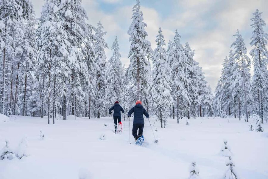 Rovaniemi: Snowshoe Wilderness Adventure with Photos & BBQ - Who should book, and who should skip