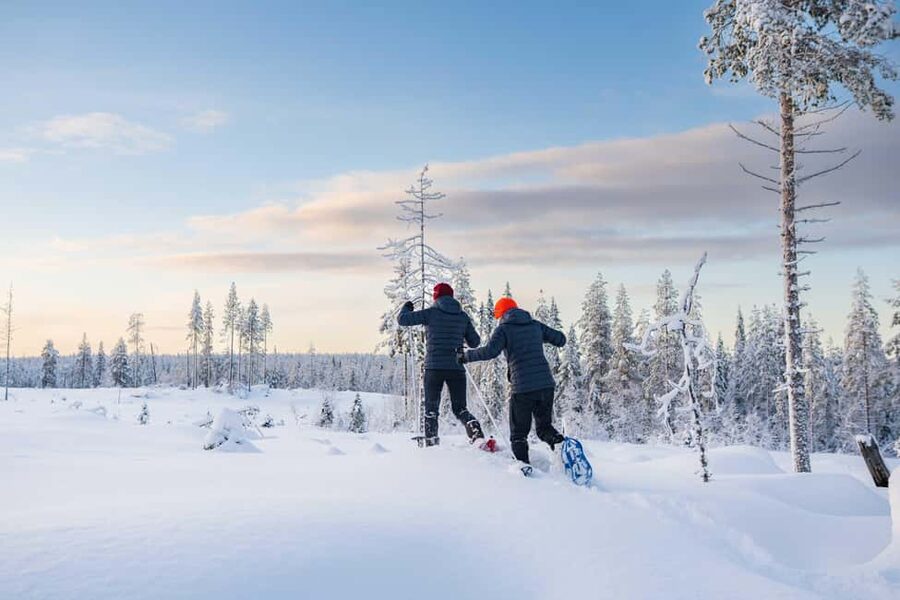 Rovaniemi: Snowshoe Wilderness Adventure with Photos & BBQ - Getting to the quiet woods from Rovaniemi