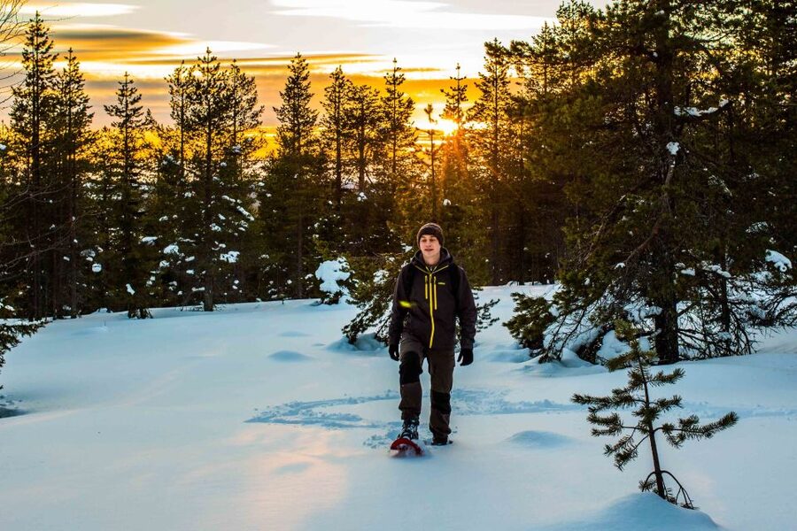 Rovaniemi: Snowshoe Wilderness Adventure with Photos & BBQ - Teepee warmth, campfire snacks, and a slower pace