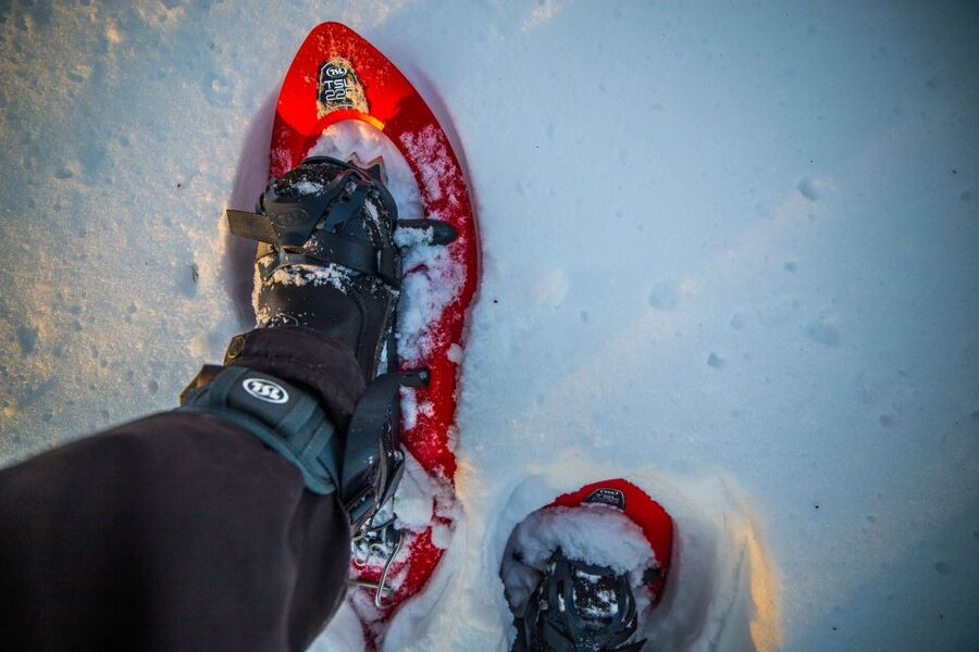 Rovaniemi: Snowshoe Wilderness Adventure with Photos & BBQ - Photography tips that actually help in winter light
