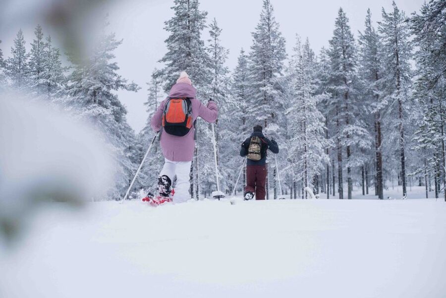 Rovaniemi: Snowshoe Wilderness Adventure with Photos & BBQ - The best part of a small group: time with your guide
