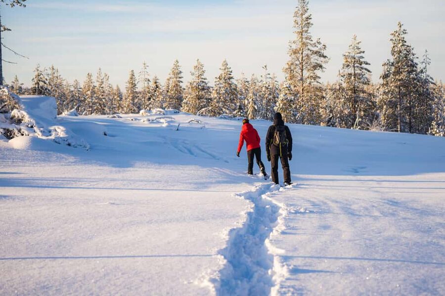 Rovaniemi: Snowshoe Wilderness Adventure with Photos & BBQ - What you get after the tour: edited photos at your pace