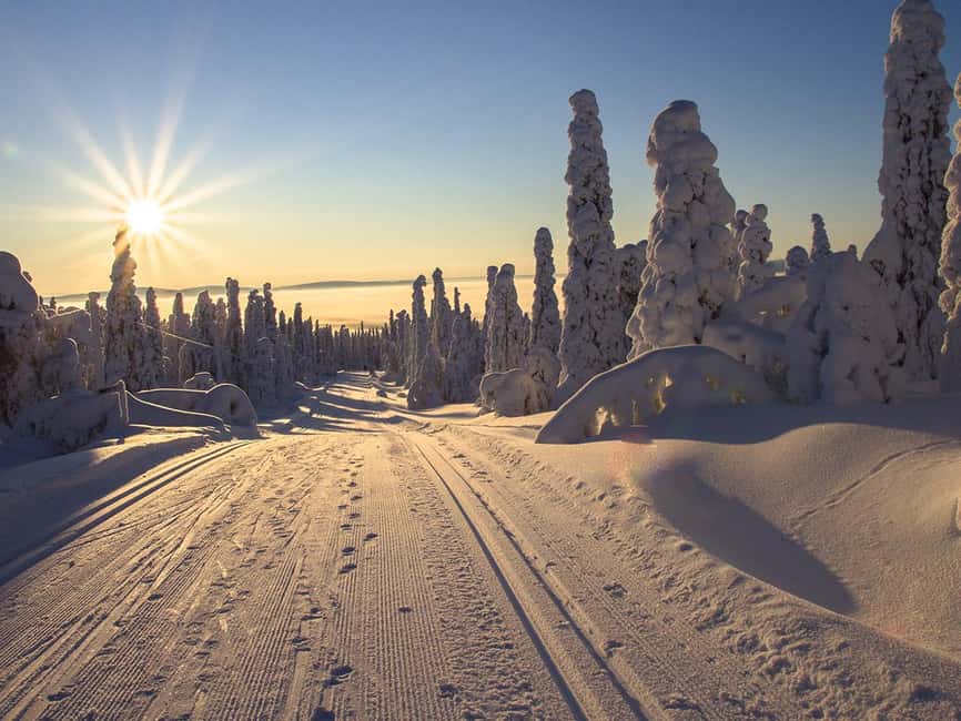 Rovaniemi: Snowshoeing, Ice Fishing and Salmon in Kota - Ice fishing on a frozen lake: gear, patience, and blueberry tea breaks
