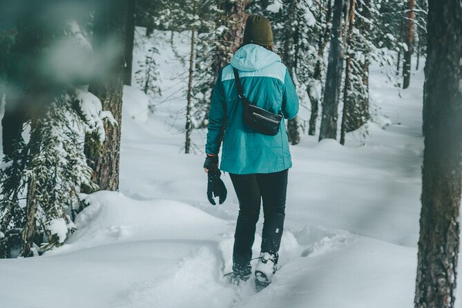 Rovaniemi: Snowshoeing in a magical snowy forest - Key highlights worth planning around