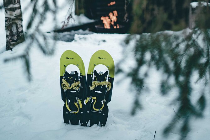 Rovaniemi: Snowshoeing in a magical snowy forest - Why snowshoeing near Rovaniemi feels special (and not just scenic)