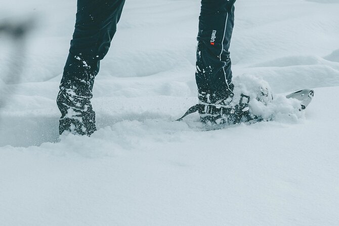 Rovaniemi: Snowshoeing in a magical snowy forest - The snowshoe walk: 1.5 hours in a quiet winter world