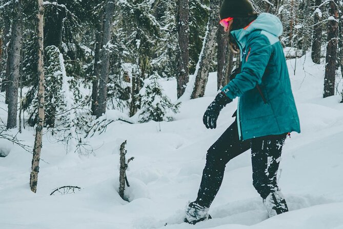 Rovaniemi: Snowshoeing in a magical snowy forest - Taking a break by the fire: sausages, snacks, and hot juice
