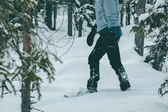 Rovaniemi: Snowshoeing in a magical snowy forest - Price and value: what $98.33 buys in real winter time