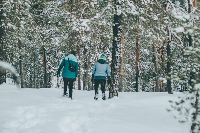 Rovaniemi: Snowshoeing in a magical snowy forest - Small-group dynamics: why 2–4 people matters in winter