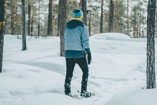 Rovaniemi: Snowshoeing in a magical snowy forest - Getting from town to the snowy wilderness area