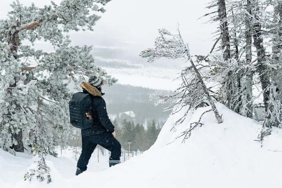 Rovaniemi: Snowshoeing in the Arctic Wilderness - Key Points That Make This Tour Worth Your Time