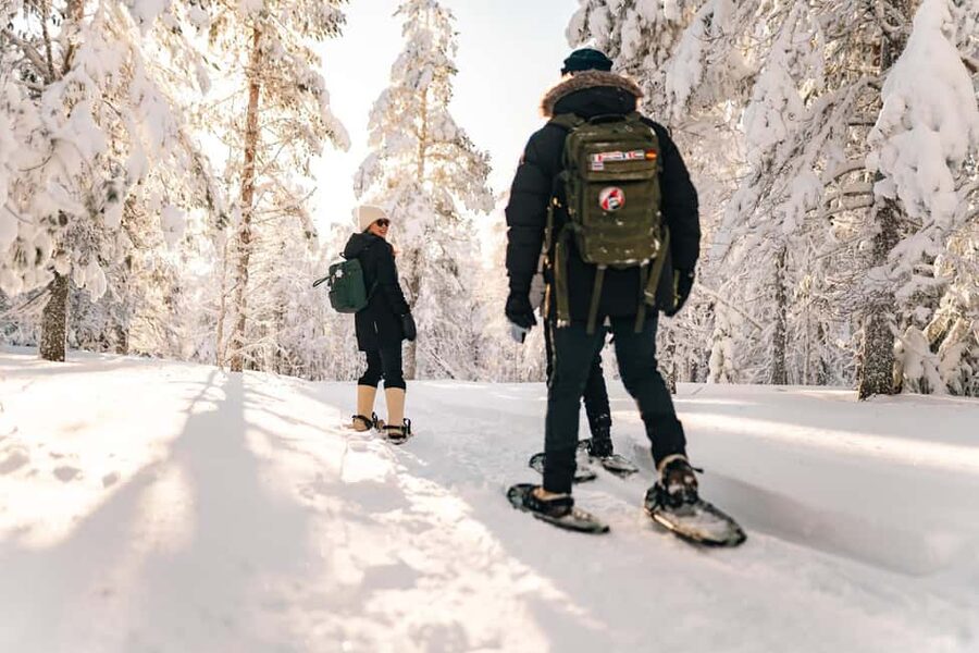 Rovaniemi: Snowshoeing in the Arctic Wilderness - Why Rovaniemi Snowshoeing Works So Well in Winter