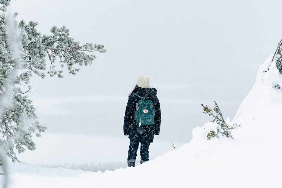 Rovaniemi: Snowshoeing in the Arctic Wilderness - The Campfire Break: Sausage, Hot Drinks, and Gingerbread Cookies