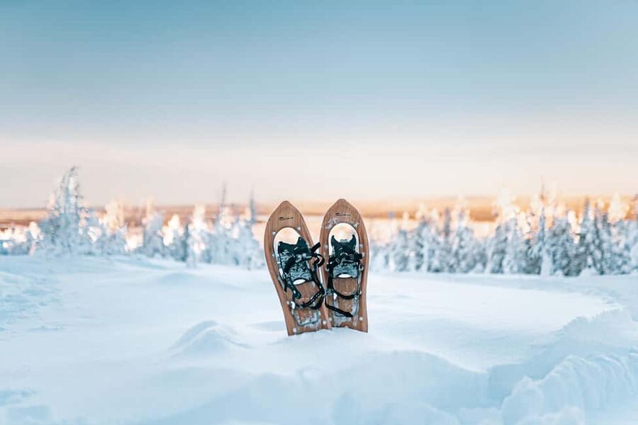 Rovaniemi: Snowshoeing in the Arctic Wilderness - A Realistic 3-Hour Window (Including Pick-Up and Drop-Off)