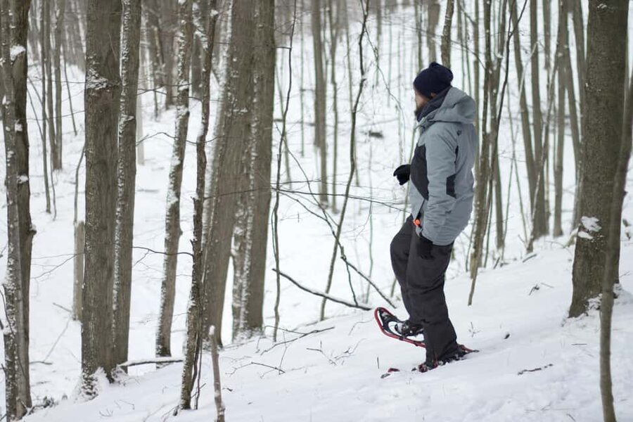 Rovaniemi: Snowshoeing Tour with Wild Lunch and Hotel Pickup - Entering the Arctic: what this snowshoe tour really delivers