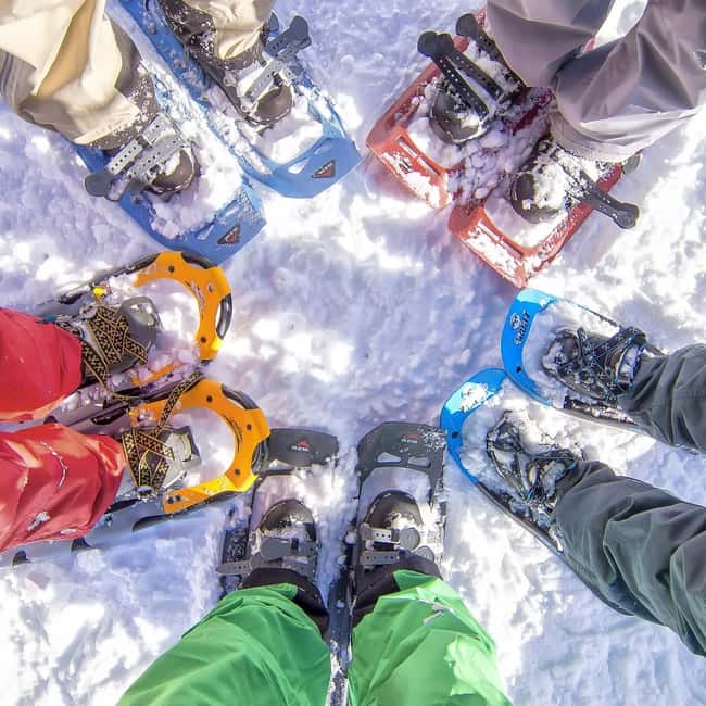 Rovaniemi: Snowshoeing Tour with Wild Lunch and Hotel Pickup - Hotel pickup and the 30 km run toward the trees