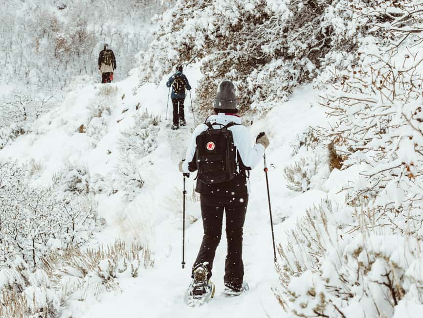 Rovaniemi: Snowshoeing Tour with Wild Lunch and Hotel Pickup - Price and value: is $83 a smart deal?