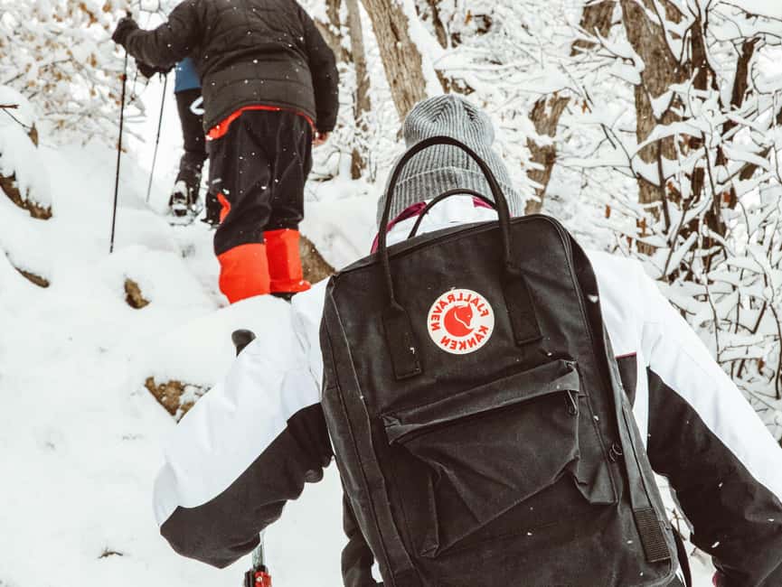 Rovaniemi: Snowshoeing Tour with Wild Lunch and Hotel Pickup - Should you book this snowshoe tour?
