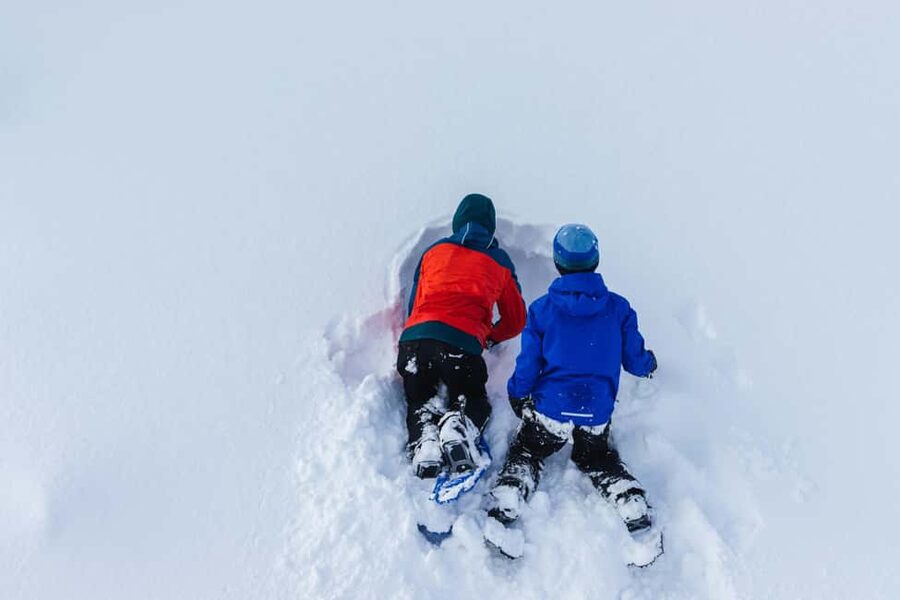 Rovaniemi: Snowshoeing Tour with Wild Lunch and Hotel Pickup - The snowshoe trek: what “2 hours” feels like in real snow