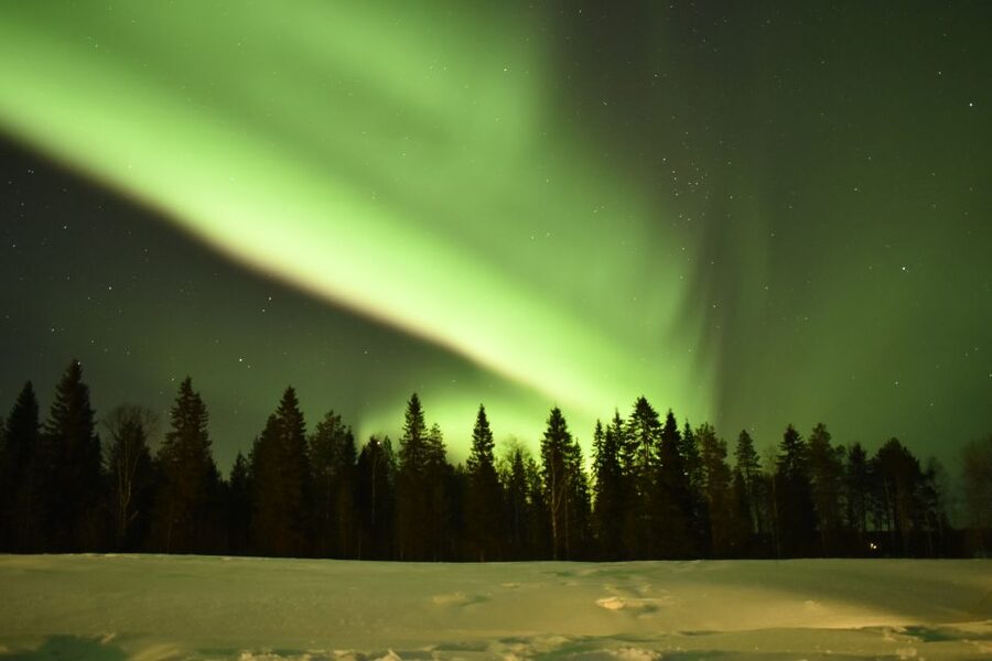Rovaniemi: Snowtrain to Northern Lights Camp - Who this Snowtrain-to-camp tour suits best
