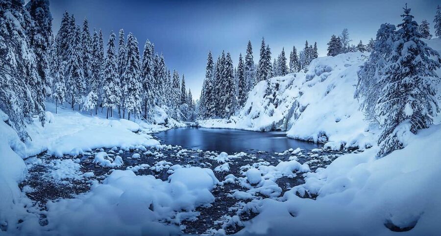 Rovaniemi: Snowy Forest Like in the Movies 3 Hour Tour - Movie-Scene Snow in Rovaniemi: What You’re Really Going For