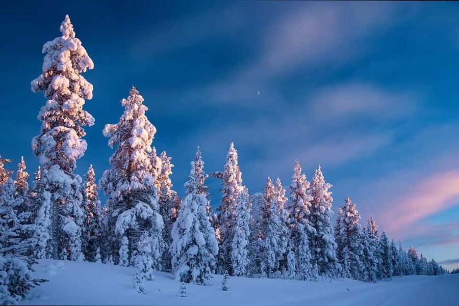 Rovaniemi: Snowy Forest Like in the Movies 3 Hour Tour - The 3-Hour Rhythm: Exactly How the Time Feels