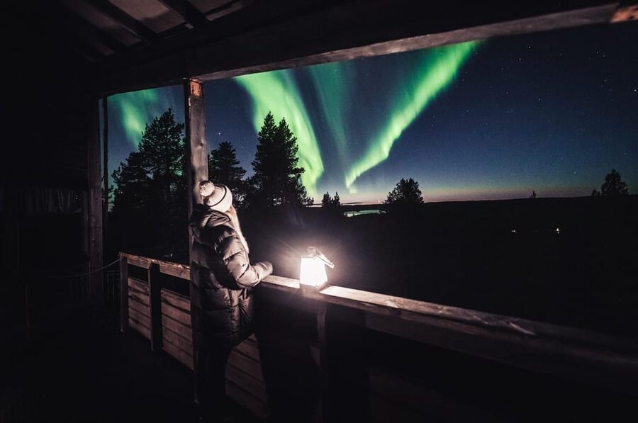 Rovaniemi: Snowy Forest Night Hike with Northern Lights - Key Points You’ll Actually Care About