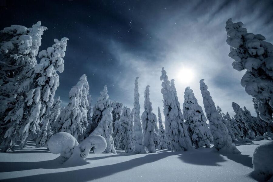 Rovaniemi: Snowy Forest Night Hike with Northern Lights - Why This Rovaniemi Snowshoe Night Hike Works Better Than Waiting Around