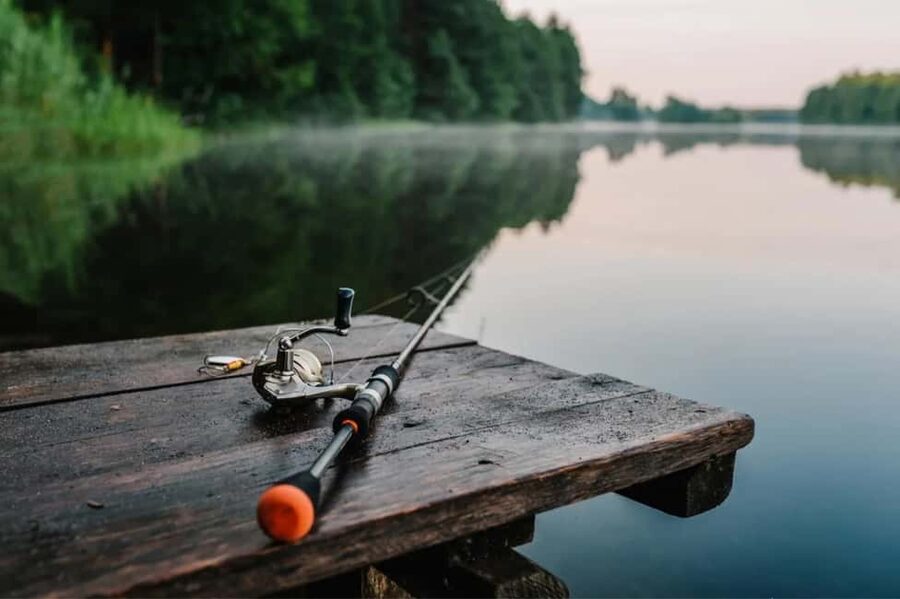 Rovaniemi: Summer & Autumn Fishing Tour in Lapland & BBQ - Key things that make this tour worth your time