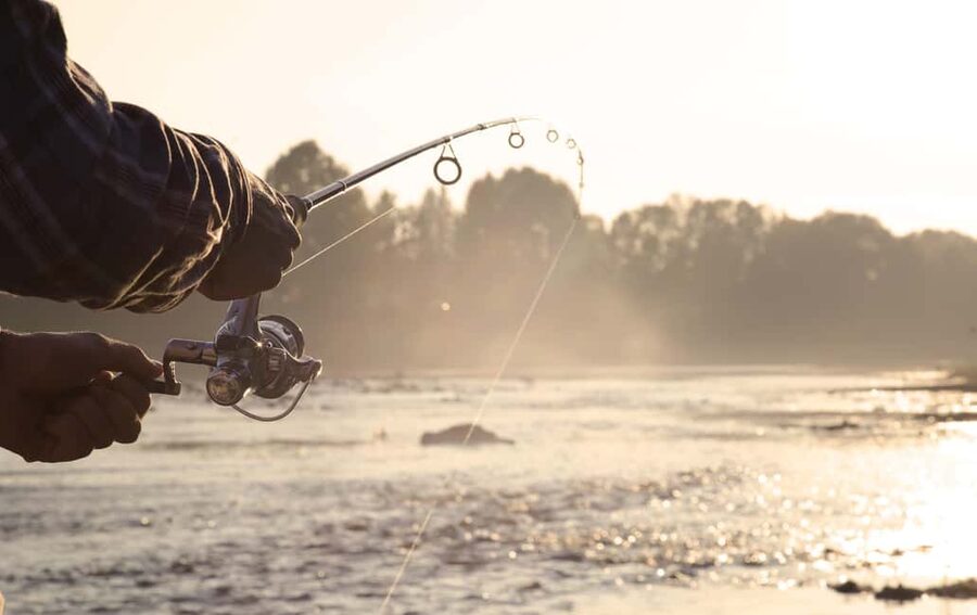 Rovaniemi: Summer & Autumn Fishing Tour in Lapland & BBQ - Who this tour is for (and who should look elsewhere)