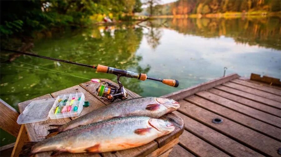 Rovaniemi: Summer & Autumn Fishing Tour in Lapland & BBQ - Timing and flow: how a 4-hour tour fits real life