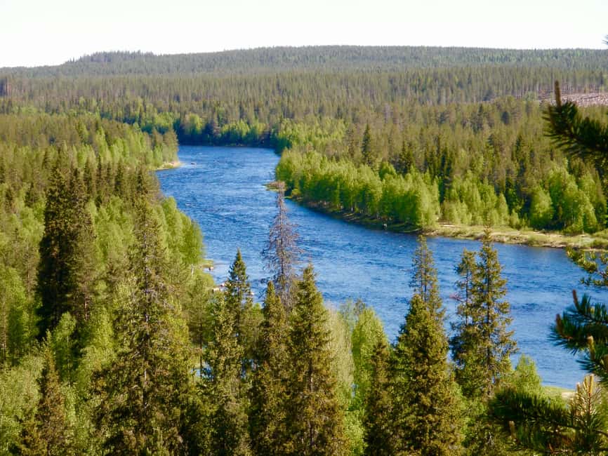 Rovaniemi: Summer & Autumn Fishing Tour in Lapland & BBQ - Price and value: what $128 gets you in Lapland fishing