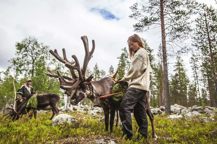 Rovaniemi: Summer/Autumn Reindeer Farm Experience - Who should book this Rovaniemi reindeer farm experience