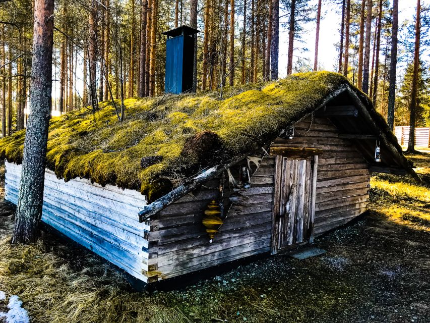 Rovaniemi: Summer Reindeer Farm Experience - Meeting the Herding Family and Learning the Rhythm of the Farm