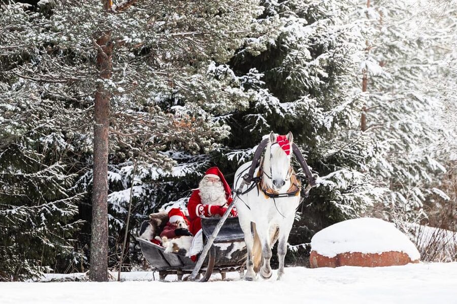 Rovaniemi: Traditional Finnhorse Sleigh Ride at SCV (3km) - Key things that make this sleigh ride work