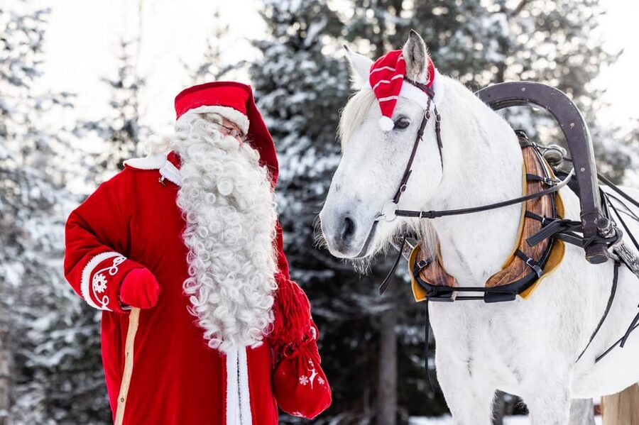Rovaniemi: Traditional Finnhorse Sleigh Ride at SCV (3km) - A Calm Finnhorse Ride Through Rovaniemi’s Evening Woods