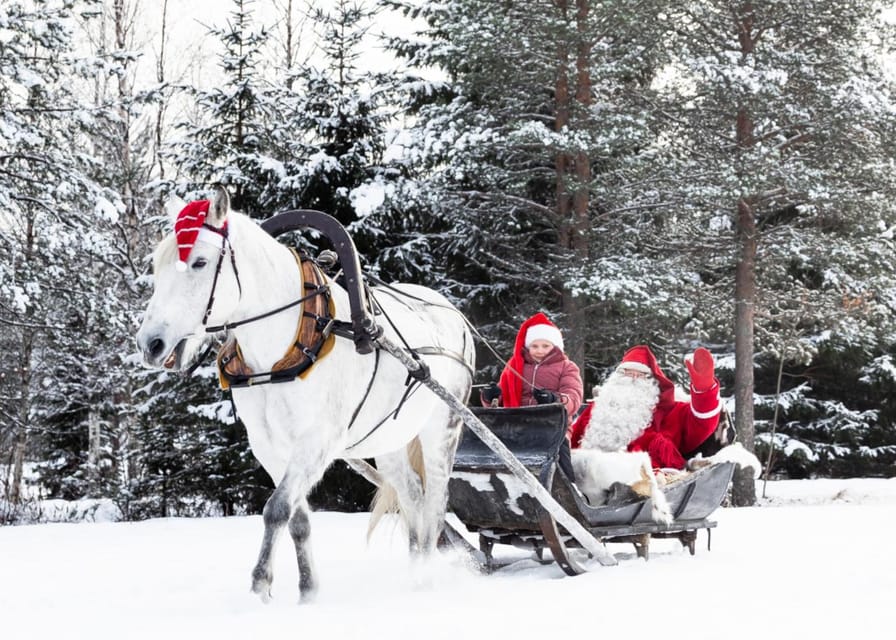 Rovaniemi: Traditional Finnhorse Sleigh Ride at SCV (3km) - Getting To Aurora Horses Napapiiri Without Wasting Winter Energy