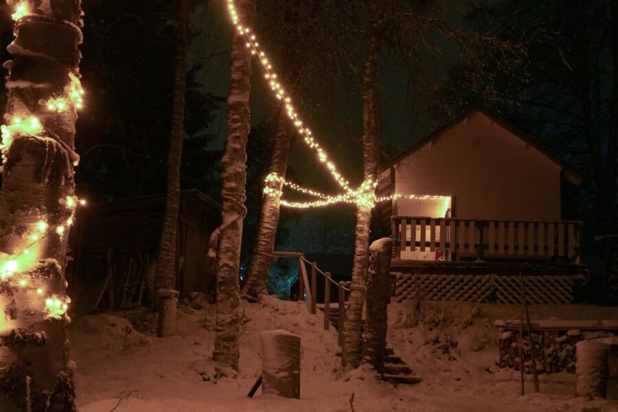 Rovaniemi: Traditional Sauna and Ice Swimming Experience - Key highlights you’ll feel fast