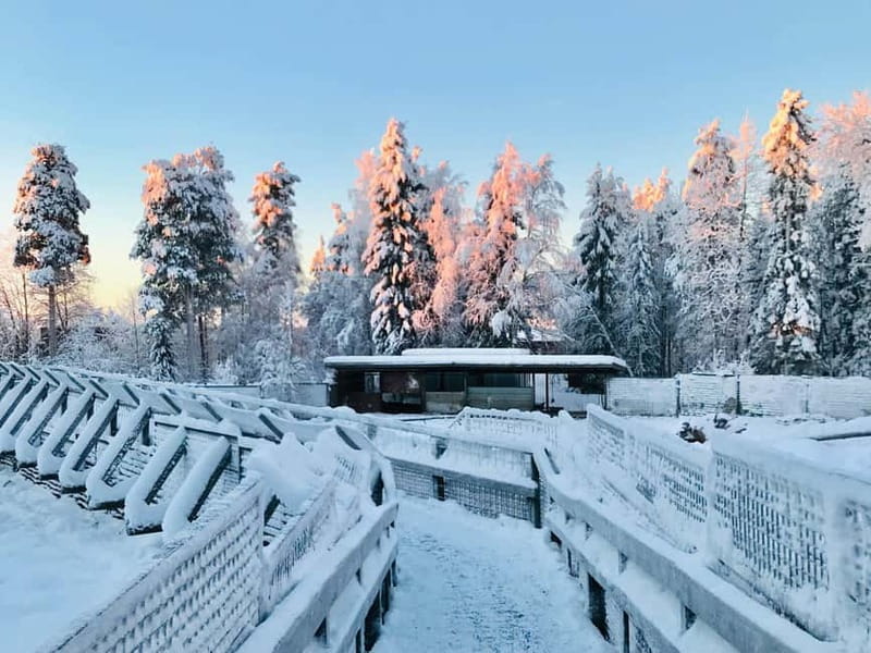 Rovaniemi: Trip to Ranua Zoo with Tickets - What you can realistically see in winter (and why hiding is normal)