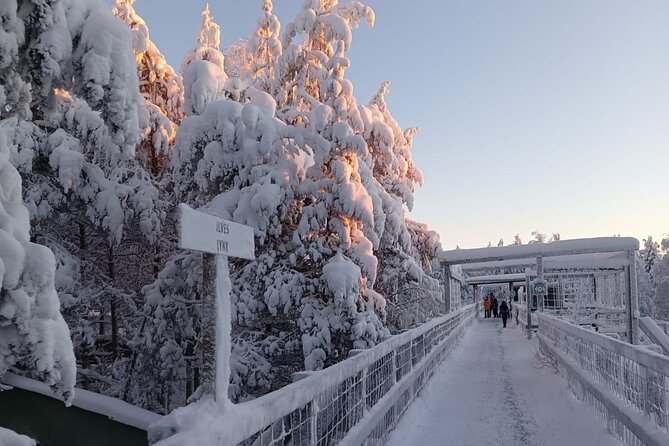 Rovaniemi: Trip to Ranua Zoo with Tickets Included - Animal expectations: polar bears, foxes, and the reality of winter