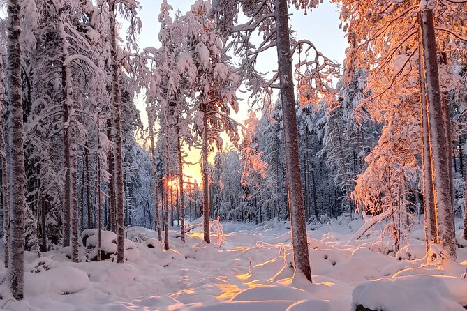 Rovaniemi: Trip to Ranua Zoo with Tickets Included - Price and value: is $120.15 a good deal?