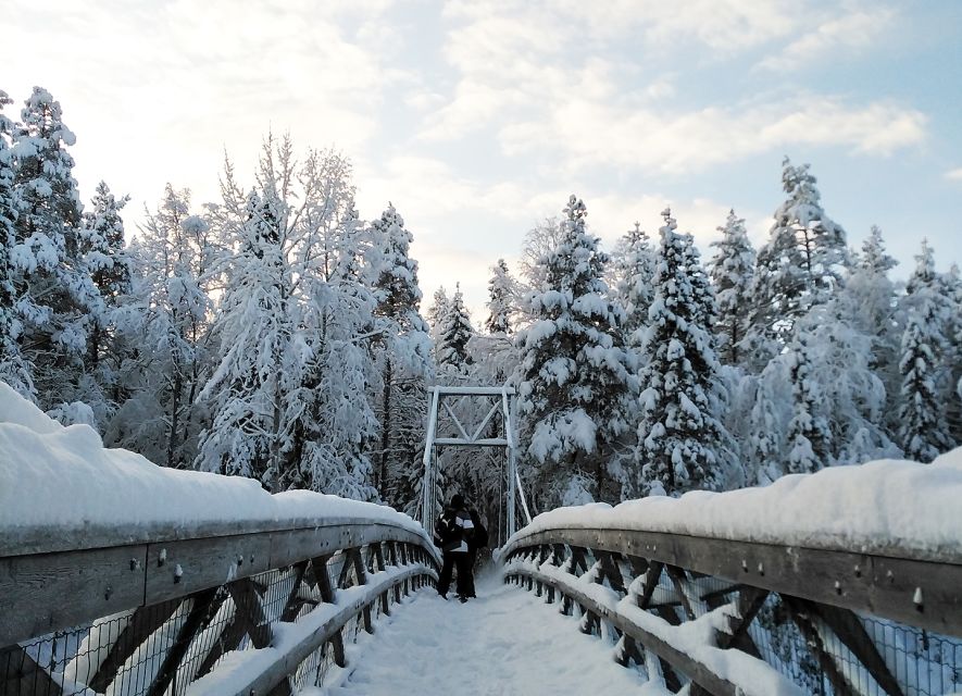 Rovaniemi: Vaattunki Hiking Arctic Circle Trail - Key Things That Make This Trail Worth Your Time