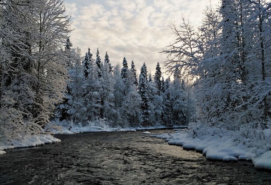 Rovaniemi: Vaattunki Hiking Arctic Circle Trail - Who This Tour Fits Best (And When to Choose Something Else)