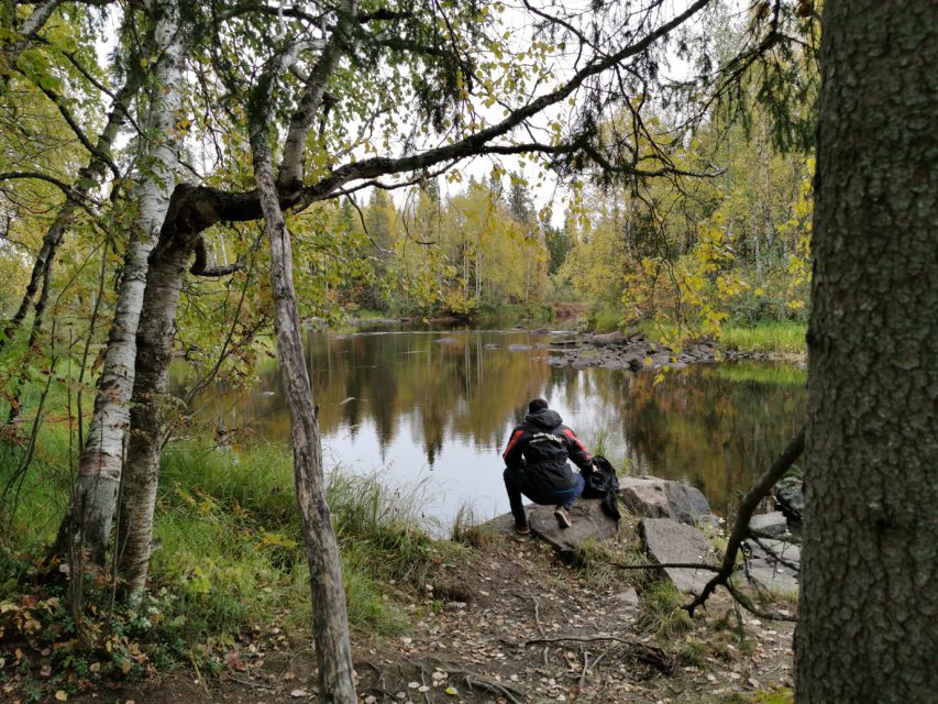 Rovaniemi: Vaattunki Hiking Arctic Circle Trail - Lapland Walks: What Forest Paths and Open Marshes Feel Like