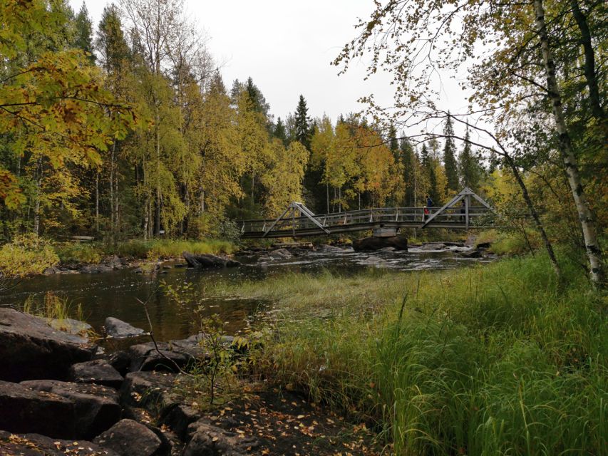 Rovaniemi: Vaattunki Hiking Arctic Circle Trail - Bonfire Break: Sausages, Warm Drinks, and Real Stories From the Guide