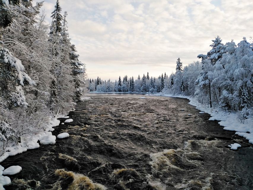 Rovaniemi: Vaattunki Hiking Arctic Circle Trail - What to Bring (and What to Leave Behind) for a Smooth Arctic Hike