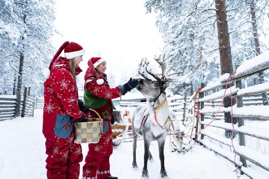 Rovaniemi: Visit to Santa's reindeer farm with reindeer ride - From Elf Adventure Center to the Reindeer Farm